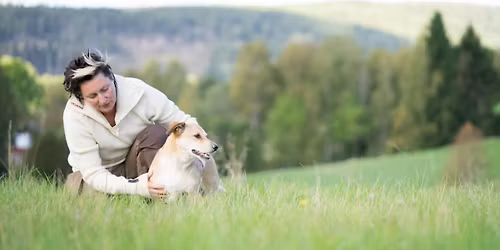 Rädsla hos hund: föreläsning