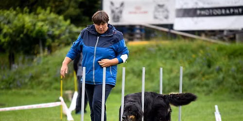 Rally Obedience natjecanje prvenstva Hrvatske (2\/3)