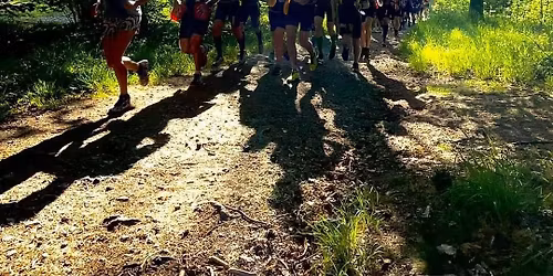 Swimruncupen Hellas 
