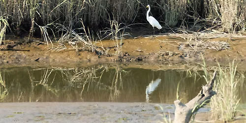 NJ Audubon: End of Summer Nature Walk at Hawk Rise