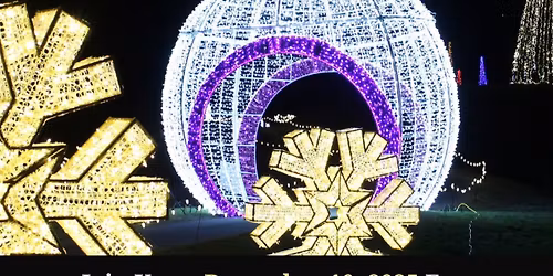 Birches Holiday Lights Fundraiser