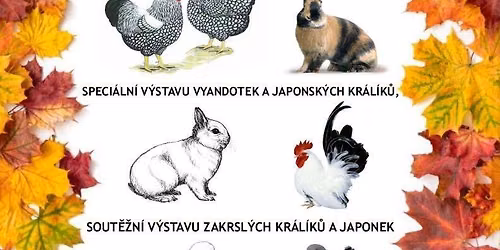 Speci\u00e1ln\u00ed v\u00fdstava vyandotek, zakrsl\u00fdch a japonsk\u00fdch kr\u00e1l\u00edk\u016f, holand.choch.slepic, japonek a moden