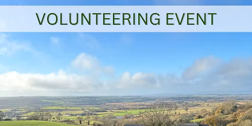 Hedge Planting - Ashen Plains