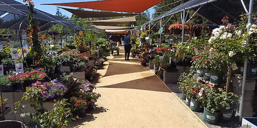 Table talk with OWOW