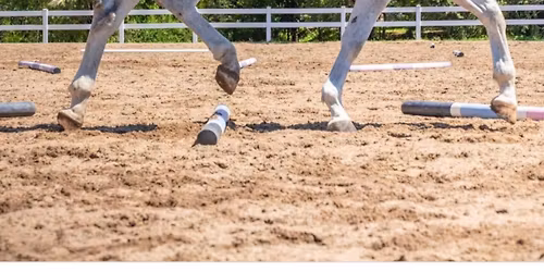 Christmas \ud83c\udf84 Poles and Prosecco