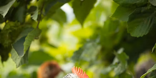 Regenerative Poultry Convergence