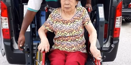 Celebrate the Holidays