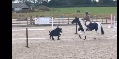 Working equitation with Eilidh Herd