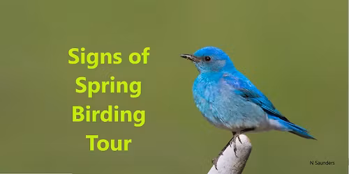 Signs of Spring Birding Tour - Mother's Day - Saskatoon