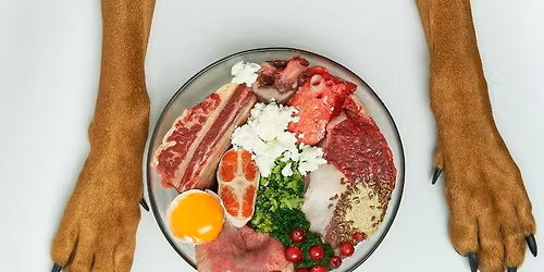 Raw 101 Event- With Our Primal Pet Foods Rep, Julie!