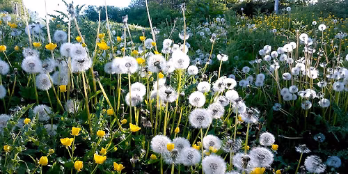 Nature for Wellbeing:  connect with nature for health and enjoyment