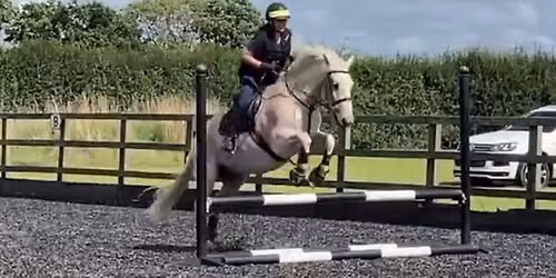 Back to 'schooling' show jumping\/poles to jumps series #2