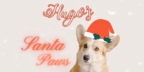 Santa Paws