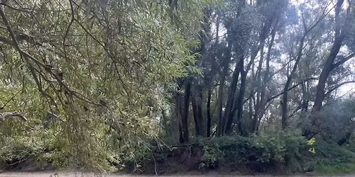 Z\u00e1klady met\u00f3dy Wima Hofa