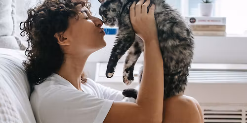 Mobile Pet Hospital Community Vet Clinic