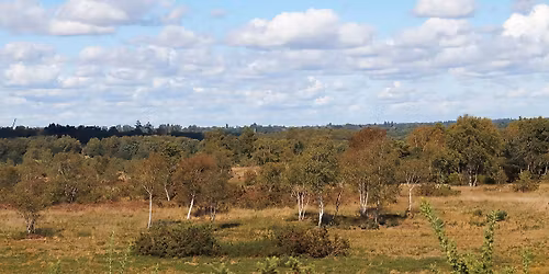 A talk on the history of Chobham Common
