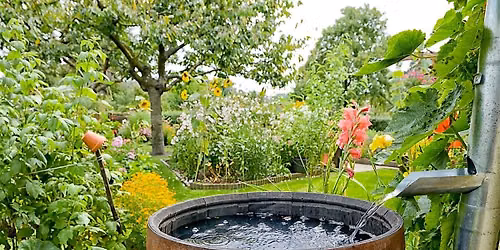 Rain Gardens & Rain Barrels Lecture