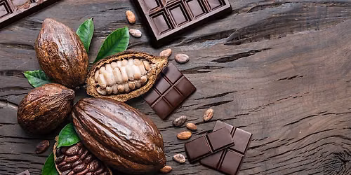 Chocolate Unwrapped
