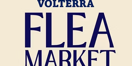 Volterra Flea Market June 6th 