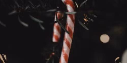 Photography Walk - Christmas Get together \ud83c\udf84\ud83e\udd36\ud83c\udf85