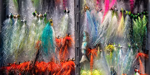 Trout Tales & Tying - Durango