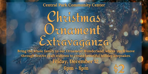 Christmas Ornament Extravaganza