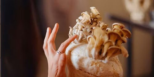 Mycelium Sculpting Workshop + decolonizing nature