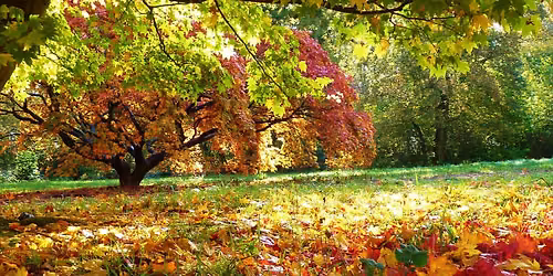 Autumn Makers Market