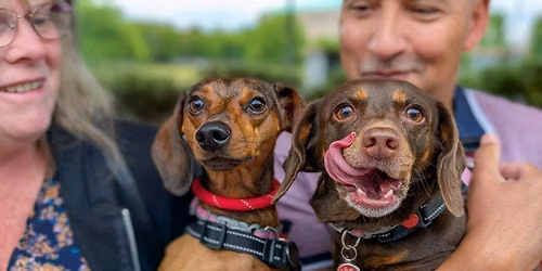 Birmingham - Dachshund Pup Up Cafe \u2600\ufe0f