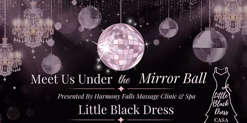 CASA of McHenry County's Little Black Dress
