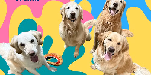 A Gathering of Goldens!