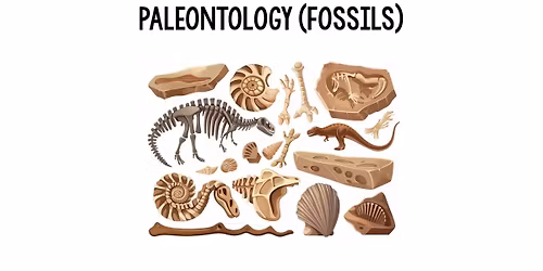 Fantastic Fossils