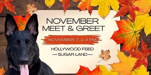 November Meet & Greet