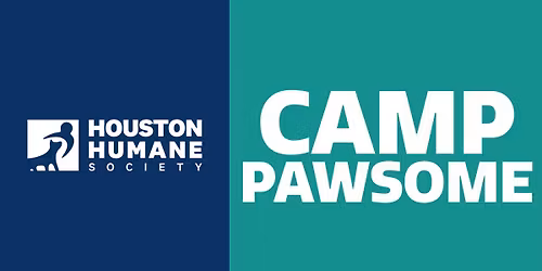 Camp Pawsome Summer Camp! 