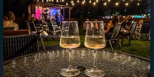 Social Tonic Live at 311 Wine House & Beer Garden
