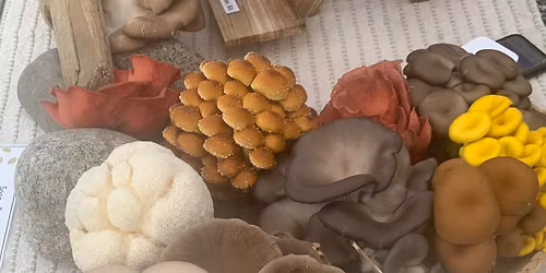 Roberts Creek Wednesday Market