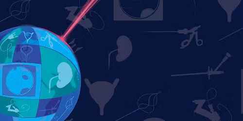 International Conference on Endourology