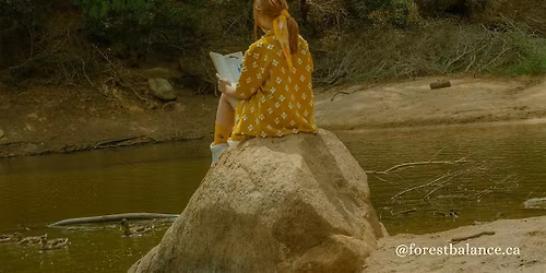 FOREST BALANCE