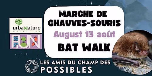 Marche de chauves-souris et lucioles #7 \/\/ Bat & Firefly Walk #7