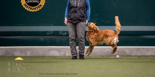 \ud83d\udc3e Fra kortbane til konkurransebane \u2013 finn flyten med hunden! "B\u00e4st med banor"kurs