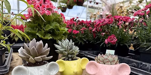 Kid's Mouse Planter Class
