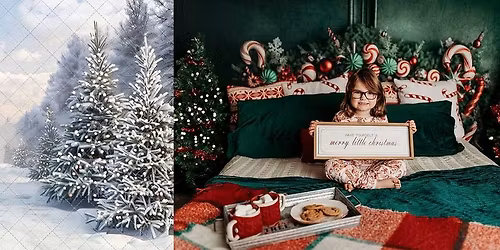 Christmas Mini's