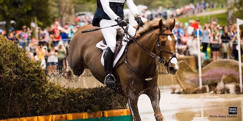 Matt Brown Clinic