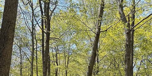 Trailside's August Hike