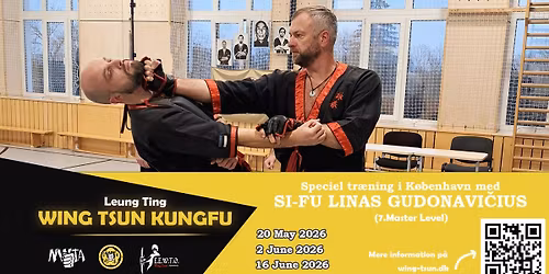 Eksklusive Wing Tsun Tr\u00e6ninger i K\u00f8benhavn med Si-Fu Linas Gudonavi\u010dius
