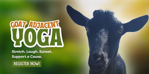 Goat (Adjacent) Yoga