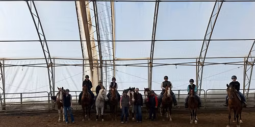 Diamond Pine Farm Gymkhana