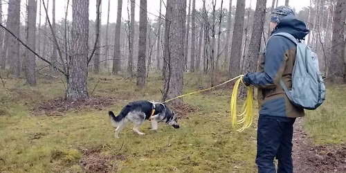 Mantrailing z Joann\u0105 M\u0119drzeck\u0105-Stefa\u0144sk\u0105 - Mosina