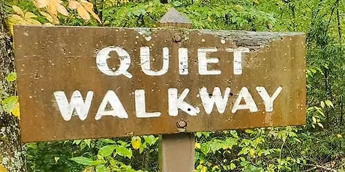 Branch Out Event: Naturalist Ramble: Quiet Time in the Smokies