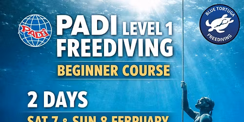 🌊 BEGINNER FREEDIVING COURSE – PADI LEVEL 1 🌊